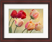 Framed Golden Tulips (detail)