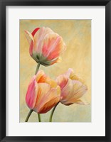 Framed Golden Tulips I