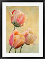 Framed Golden Tulips I