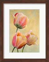 Framed Golden Tulips I