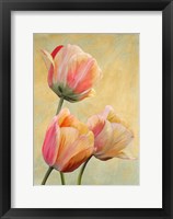 Framed Golden Tulips I