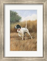 Framed Hunting Dog II