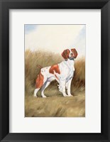 Framed Hunting Dog I