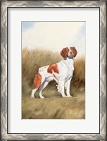 Framed Hunting Dog I