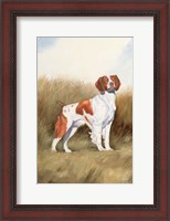 Framed Hunting Dog I