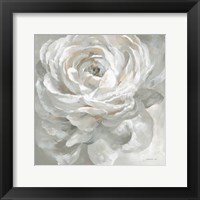 Framed White Rose