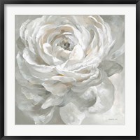 Framed White Rose