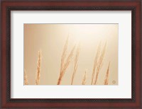 Framed Noon Grasses II