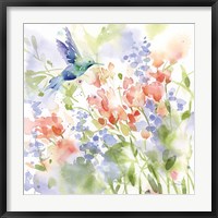Framed Hummingbird Meadow