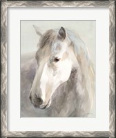 Framed Gentle Horse Crop