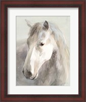 Framed Gentle Horse Crop