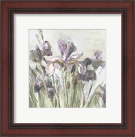 Framed Spring Iris I Purple