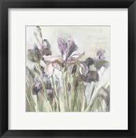 Framed Spring Iris I Purple