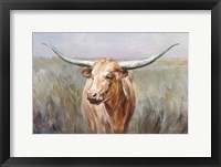 Framed Big Sky Longhorn