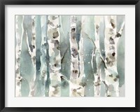 Framed Winter Birches