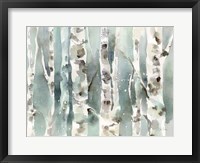 Framed Winter Birches