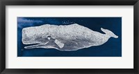 Framed Whale on Blue