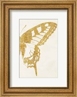 Framed Butterfly Wings II