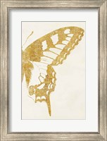 Framed Butterfly Wings II
