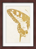 Framed Butterfly Wings I