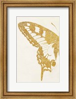 Framed Butterfly Wings I
