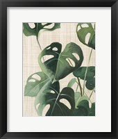 Tropical Study IV Linen Framed Print