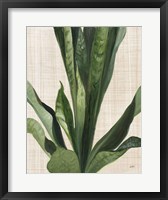 Framed Tropical Study III Linen