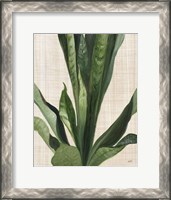 Framed Tropical Study III Linen