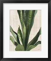 Framed Tropical Study III Linen