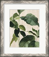 Framed Tropical Study II Linen