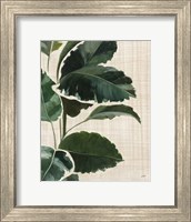 Framed Tropical Study I Linen