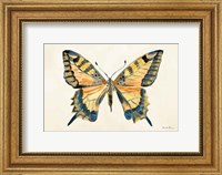 Framed Butterfly Study II