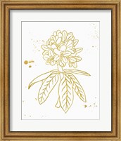 Framed Gold Blooms II