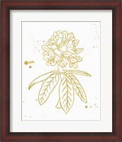 Framed Gold Blooms II