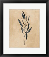 Framed Botanical Study I Brown