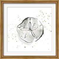 Framed Sand Dollar I