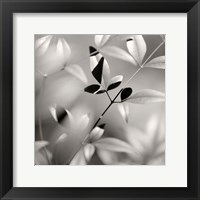 Framed Botanical Study No. 5