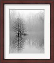 Framed Lake Trees in Winter Fog
