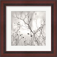 Framed Winter Berries