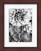 Framed B&W Flower 2