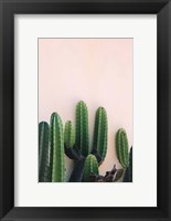 Framed Cactus