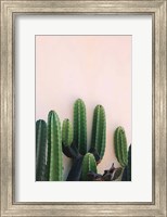 Framed Cactus