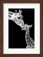 Framed First Love - Giraffe