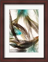 Framed Floating Feathers