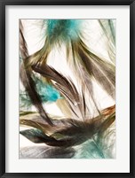 Framed Floating Feathers