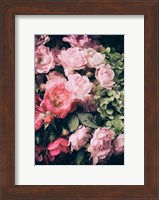 Framed Floral 28
