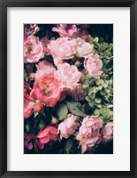 Framed Floral 28