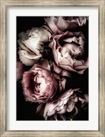 Framed Floral 30