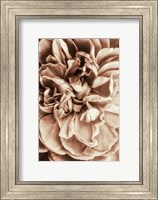 Framed Flower Bloom 3