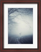 Framed Foggy Morning Hike